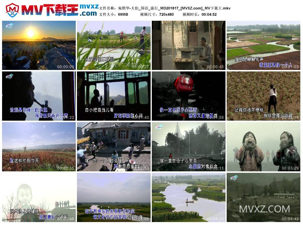 宛照华-大伯_国语_流行_MD201817